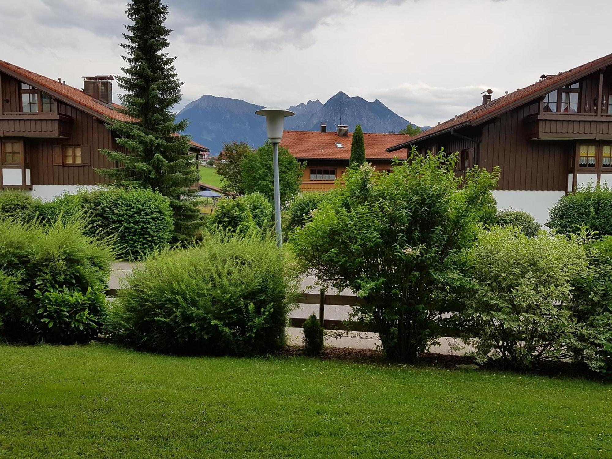 Sonnenblume Obermaiselstein